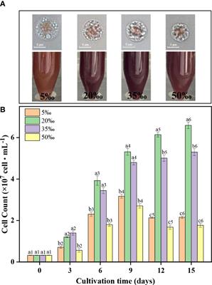 Effect of salinity on the biochemical characteristics and antioxidant activity of exopolysaccharide of Porphyridium purpureum FACHB 806